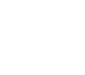 Mini logo